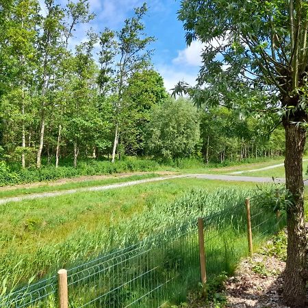 Villa Wellnesshuis Met Hottub, Ligbad En Grote Tuin Tzummarum Exterior foto