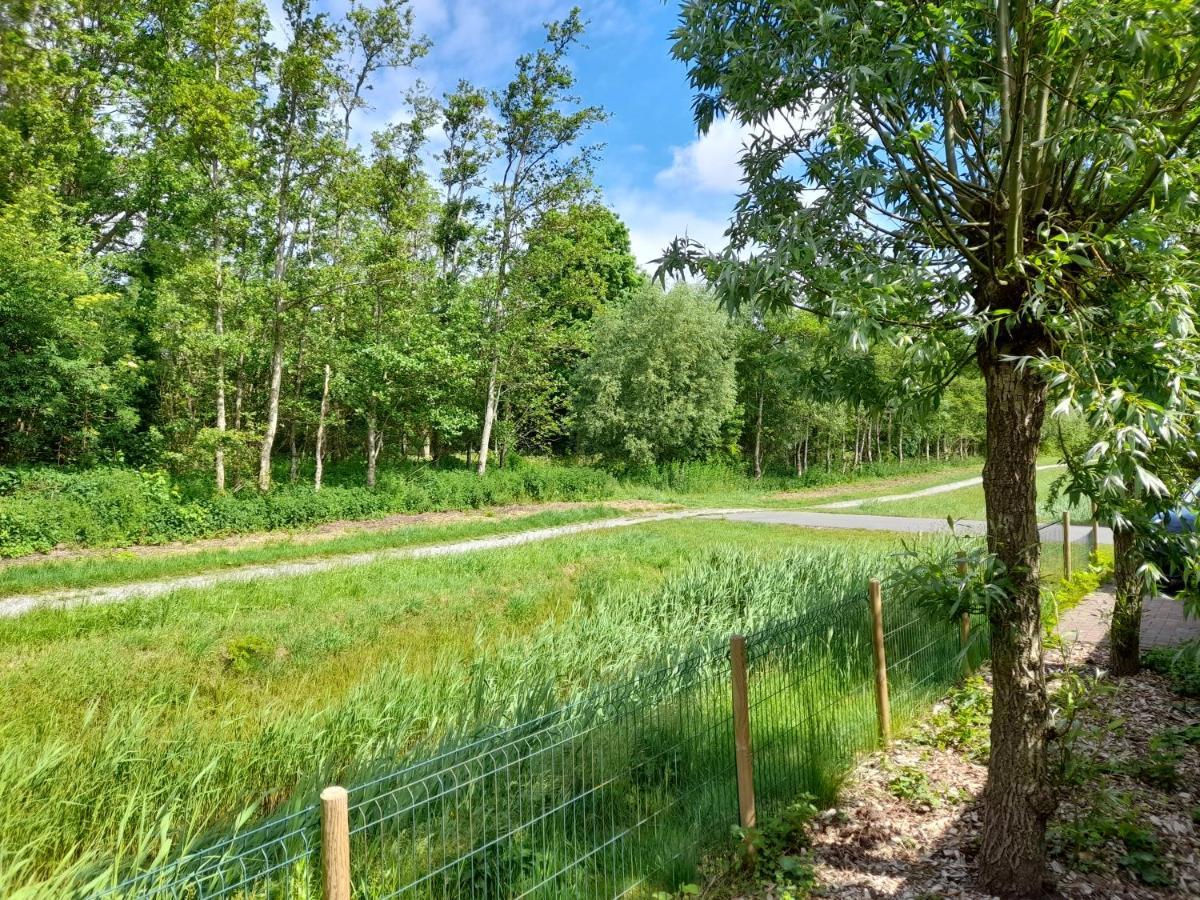 Villa Wellnesshuis Met Hottub, Ligbad En Grote Tuin Tzummarum Exterior foto